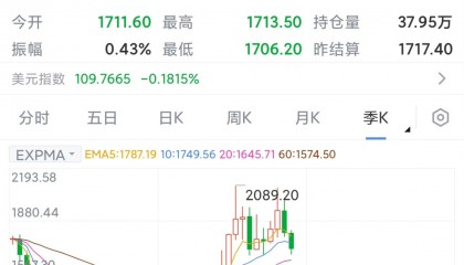 多货币对冲原理(货币对冲有风险吗)