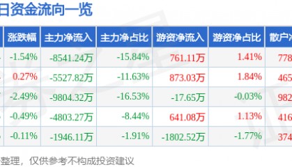 股票行情快报：张江高科（600895）5月13日主力资金净卖出8541.24万元