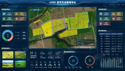 智慧农业：开启现代农业新篇章