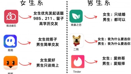 软件对比(软件对比报告怎么写)