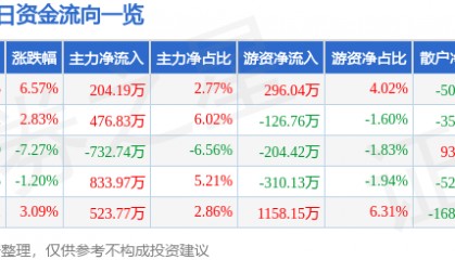 股票行情快报：恒大高新（002591）1月14日主力资金净买入204.19万元