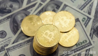 直接货币(直接货币政策工具)