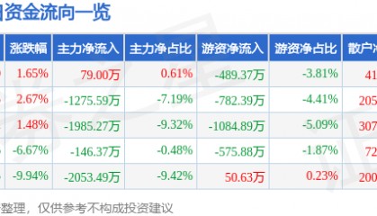 股票行情快报：海利得（002206）4月11日主力资金净买入79.00万元