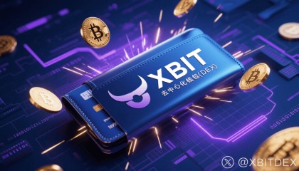 币钱包安全性再引关注，平台XBIT Wallet如何保护你的数字资产