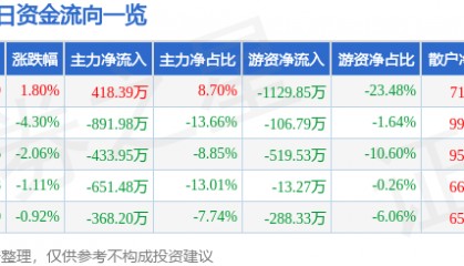 股票行情快报：滨海能源（000695）3月25日主力资金净买入418.39万元