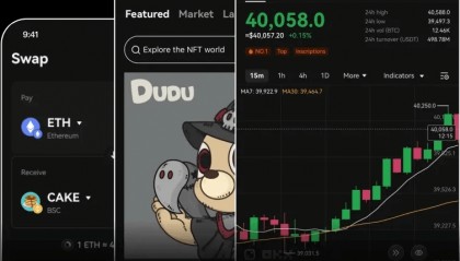 币币网app(币币网是真的吗)