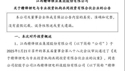 赣锋锂业投了普洛斯