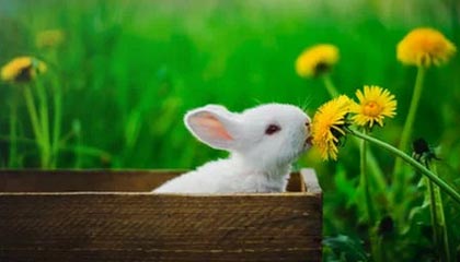 中泰证券和联储证券要合并?公司最新回应