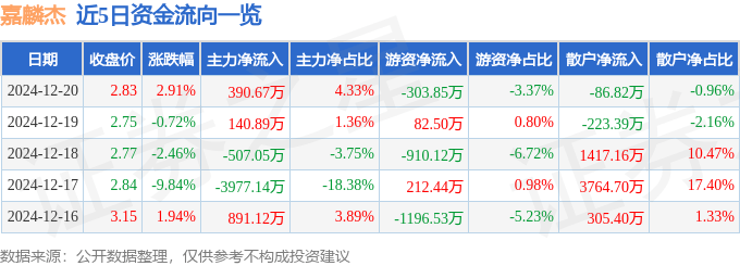 股票行情快报：嘉麟杰（002486）12月20日主力资金净买入390.67万元