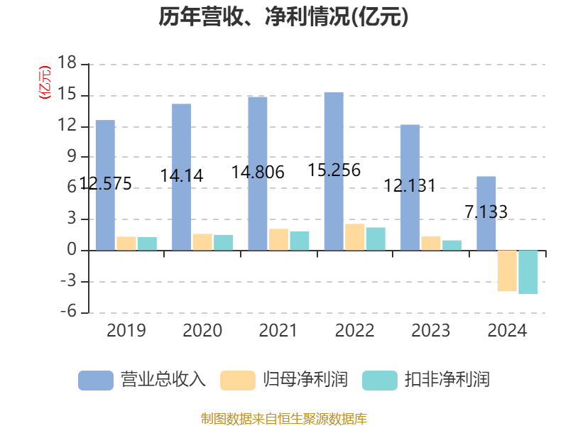 数字政通：2024年亏损3.96亿元