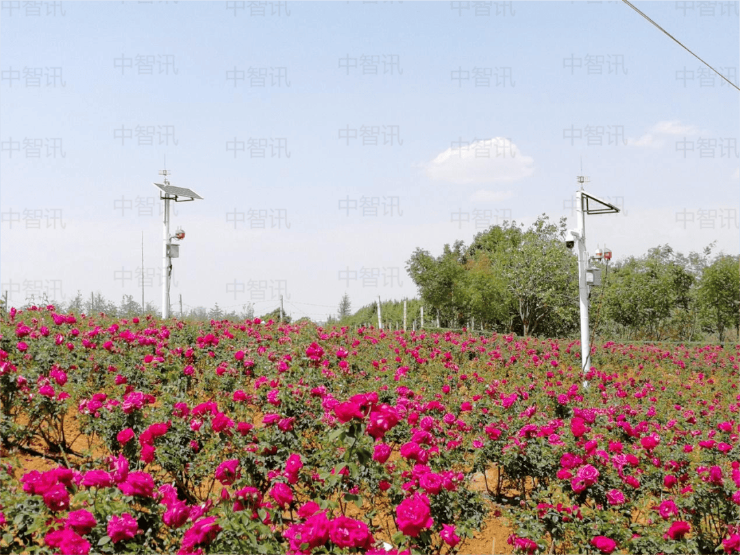 智慧农业种植管控系统与智慧农业气候管控系统