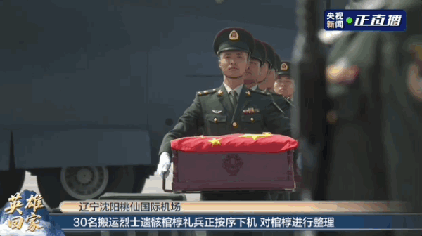 左玮：“再快一点，他们等不起，我怕来不及”