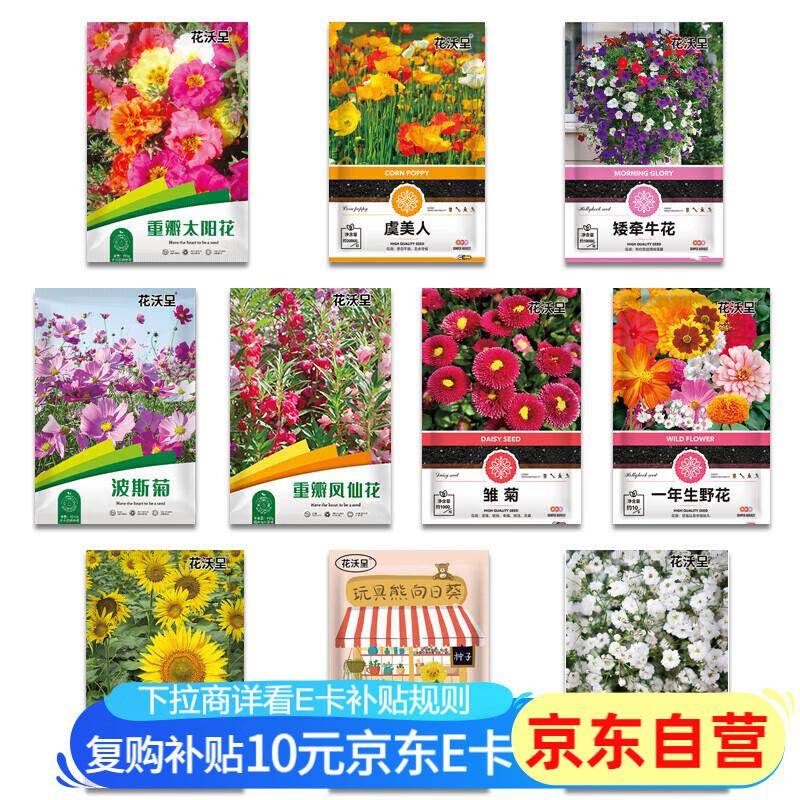 凤仙花是一年生还是多年生?答案来了,快来看看吧!