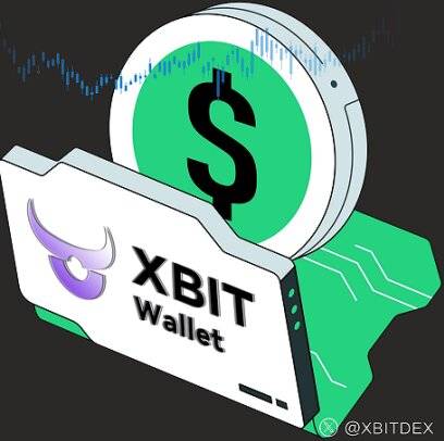 冷钱包护航DAT项目 XBIT Wallet构建你的山寨币资产防火墙