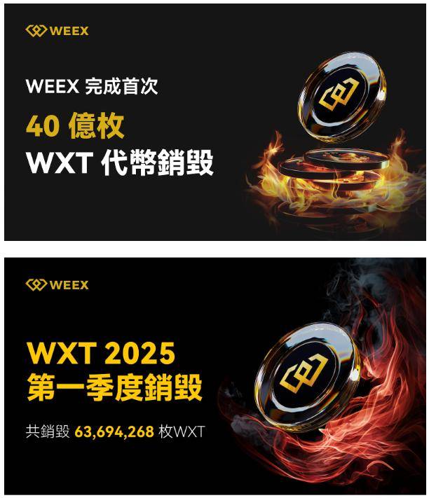 平台币中的黑马WXT正在逐步显现WEEX强大潜力