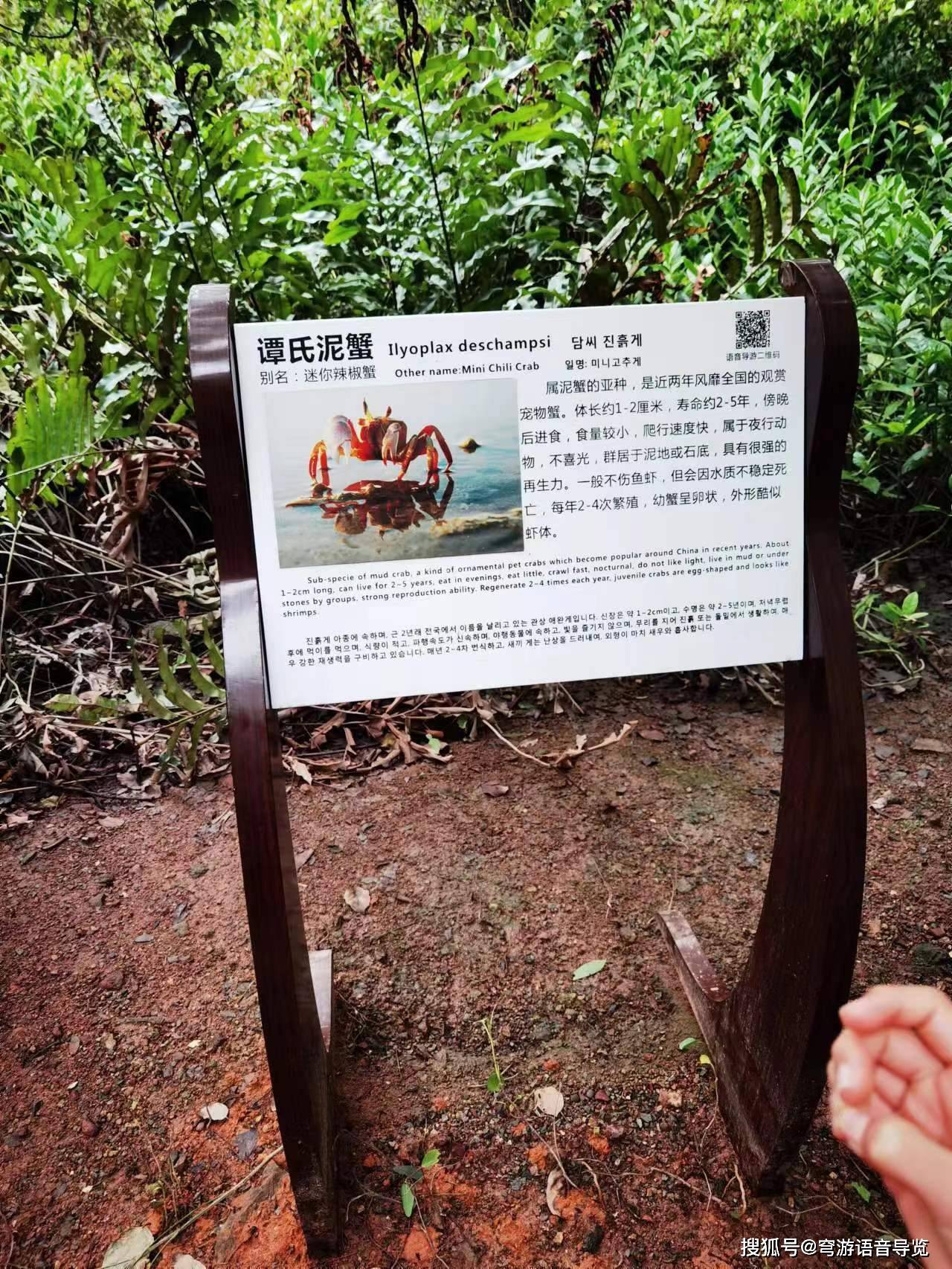 微信扫码即享!穹游导览,让景区故事 “随扫随听”