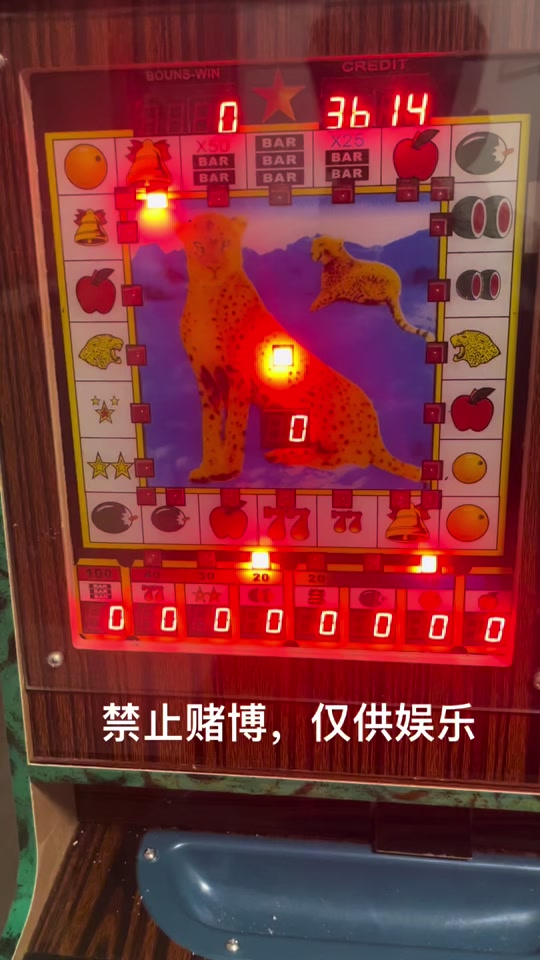 投机货币(货币投机性攻击)